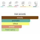 Bvlgari MAN Wood Essence Eau de Parfum 100 ml